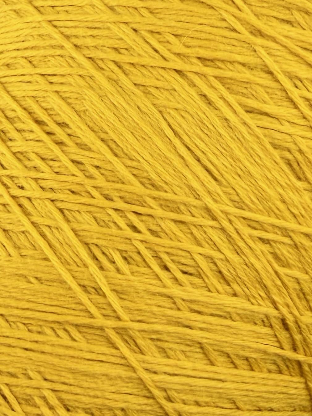 DI.VE Bebel Nm 1/4.0 – Filato 100%  Merino Extrafine Superwash col. Giallo senape